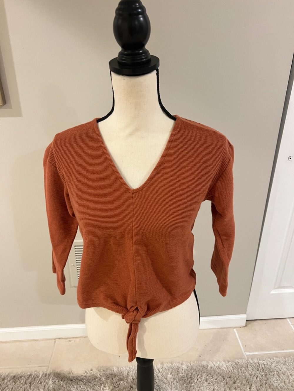 Madewell Women’s Rust Knit V-Neck Tie-Front Sweater